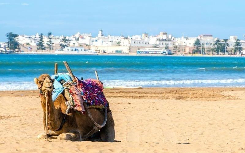 Appartement Essaouira Proche De La Mer Eksteriør billede