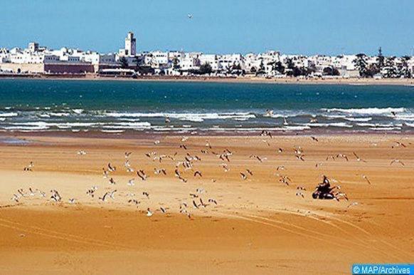 Appartement Essaouira Proche De La Mer Eksteriør billede